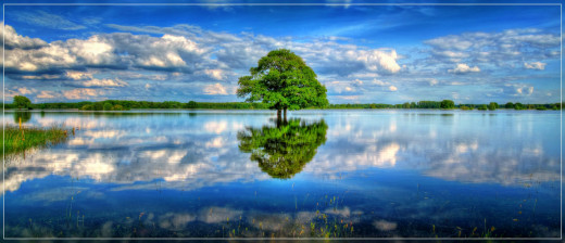 761559 (a): :3000x1290